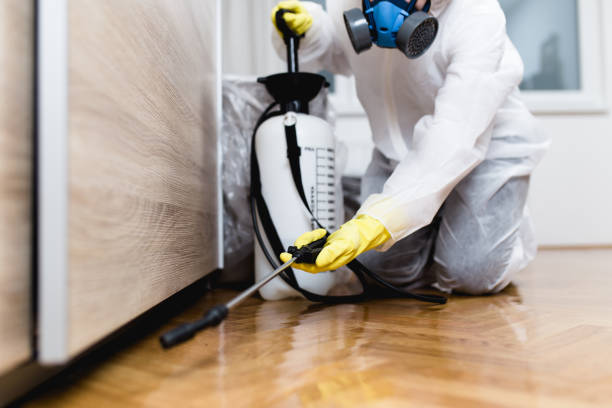 Best Termite Control Services  in Seven Hills, OH